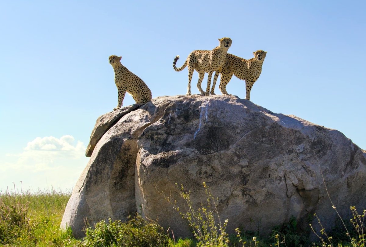 Serengeti National Park