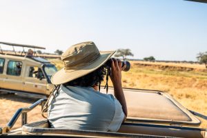 Picture of Eco Dream Safari