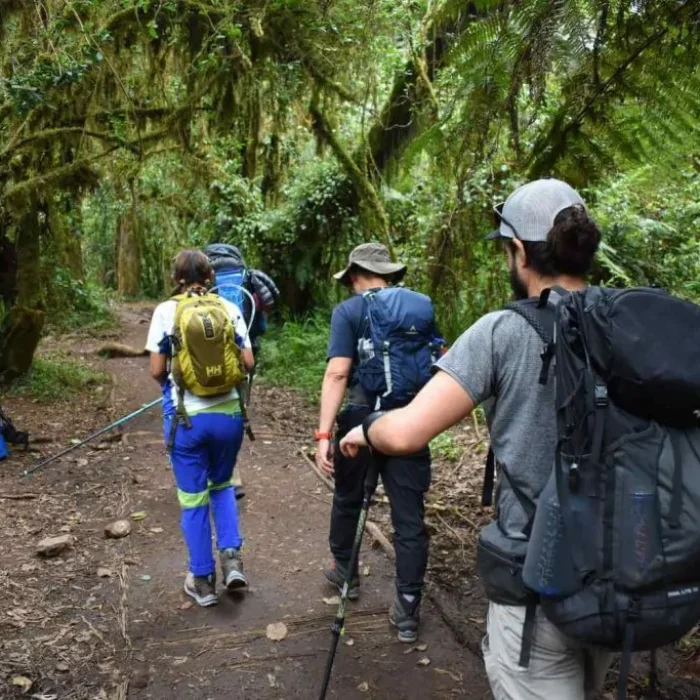 Machame-Route-day-