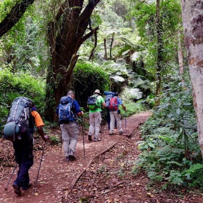 climb_mt._kilimanjaro_via_lemosho_route_8_days_1693745256