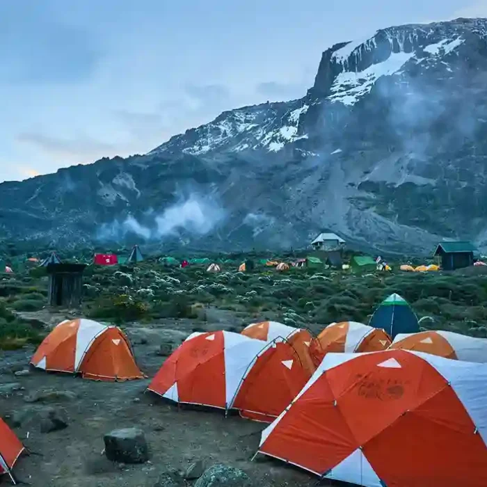 klm_camp