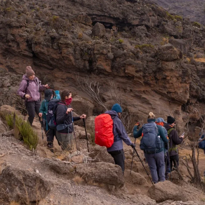 machame trekking
