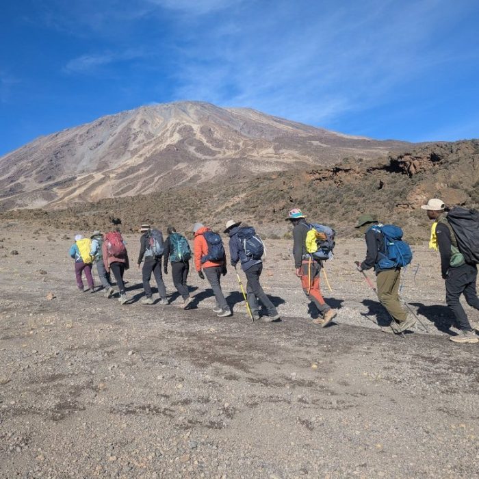 marangu route trekking
