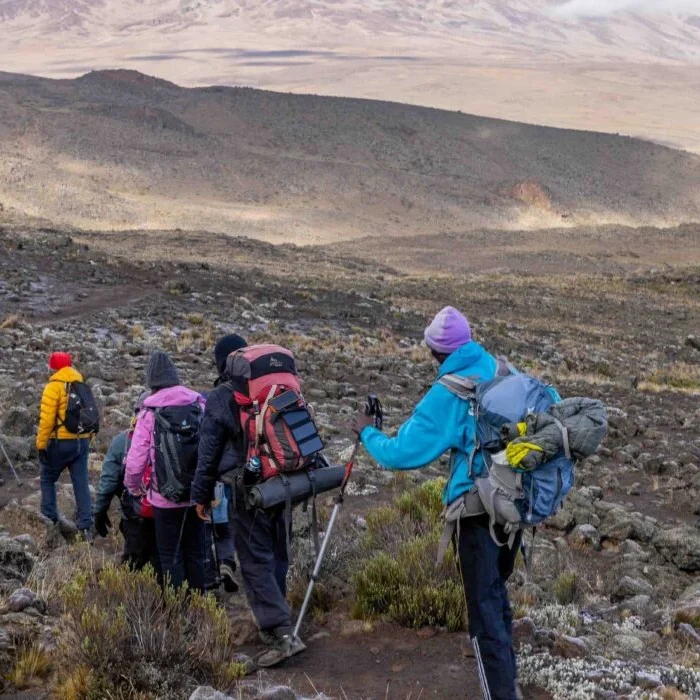 marangu trekking