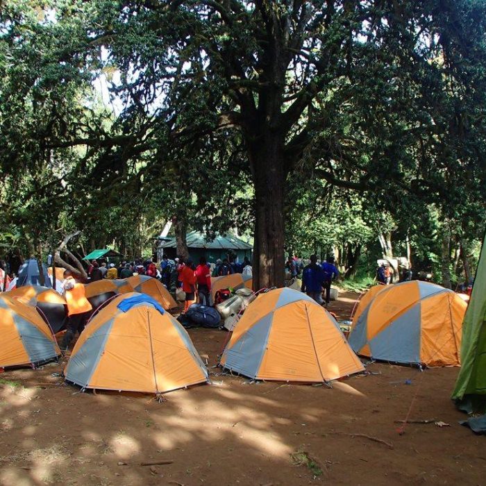 mti mkubwa camp