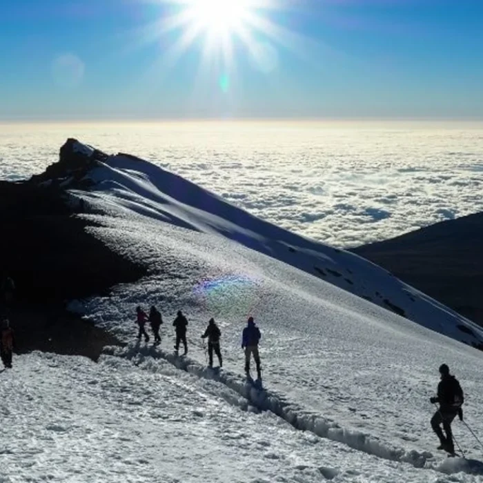 top_trekking